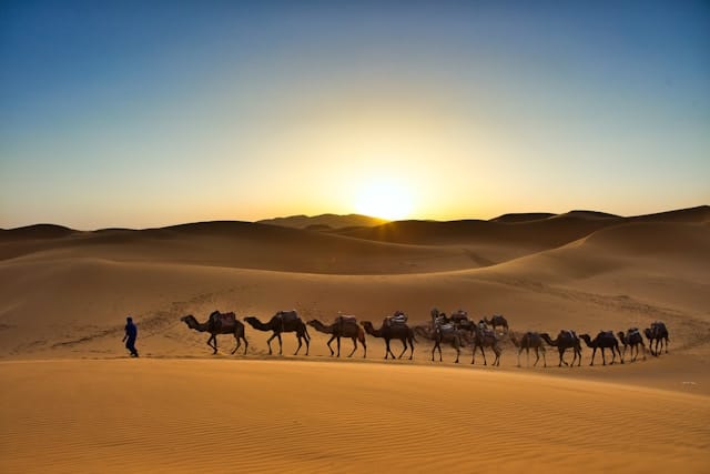 Merzouga Sunset Camel Ride