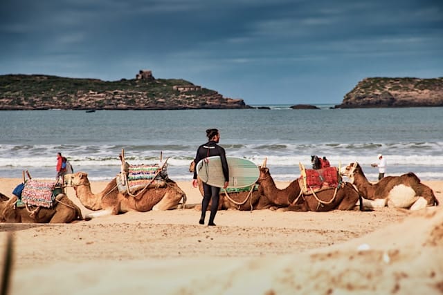 Marrakech to Essaouira Day Trip