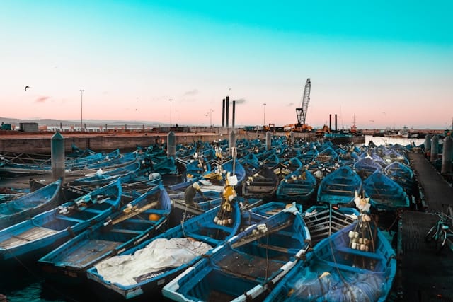 Marrakech to Essaouira Day Trip